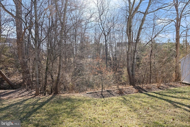 view of yard with a view of trees