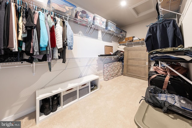 spacious closet featuring carpet floors and attic access