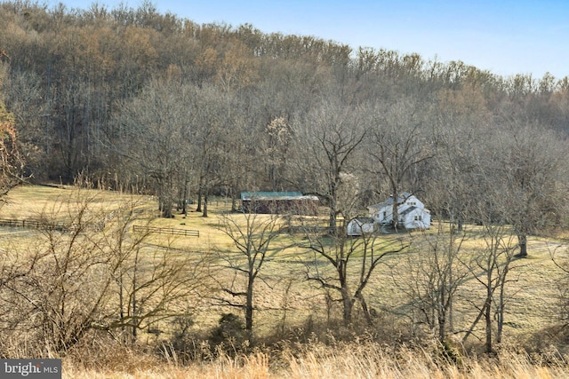 view of yard featuring a rural view