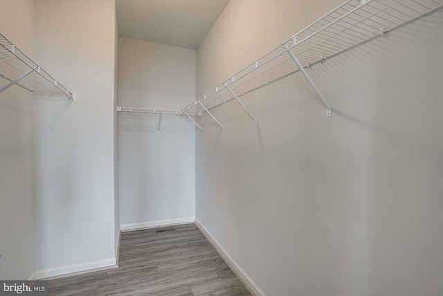spacious closet featuring wood-type flooring
