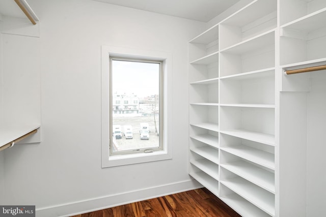 walk in closet featuring dark hardwood / wood-style floors