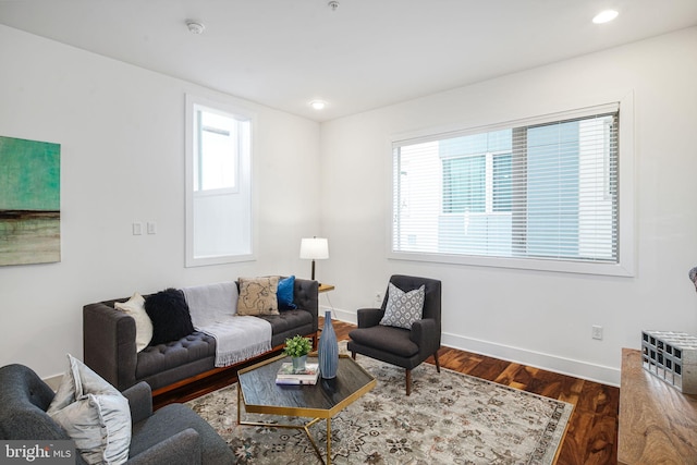 living room with hardwood / wood-style flooring