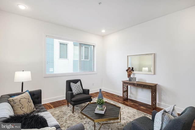 living room with wood-type flooring