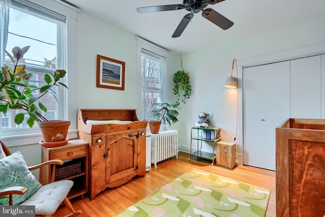 sitting room featuring light wood-style flooring, a ceiling fan, radiator heating unit, and a healthy amount of sunlight