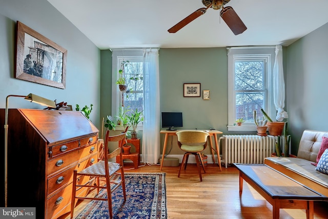 sitting room featuring plenty of natural light, light wood-style flooring, radiator heating unit, and ceiling fan