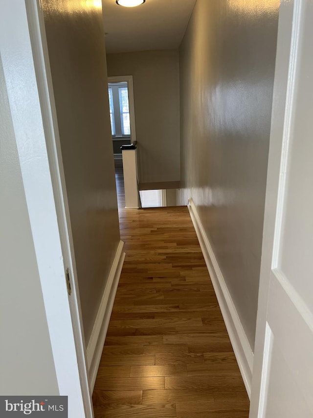 hallway with dark hardwood / wood-style flooring