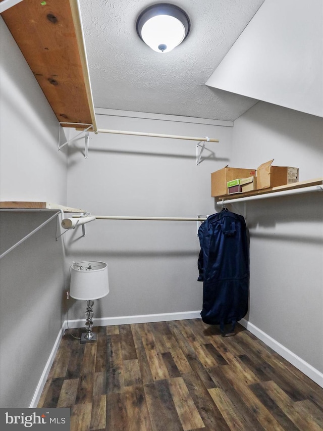 walk in closet featuring dark hardwood / wood-style floors