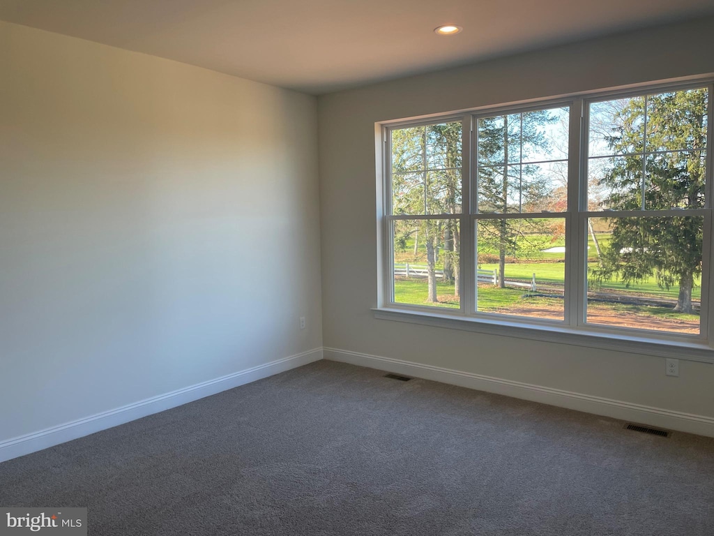 unfurnished room featuring carpet floors