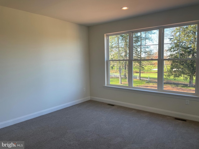 unfurnished room featuring carpet floors