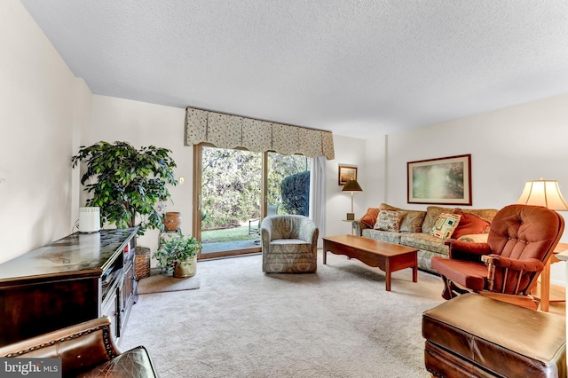 living room with carpet floors and a textured ceiling