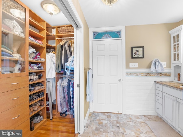 view of spacious closet