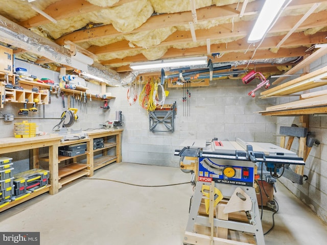 basement with a workshop area