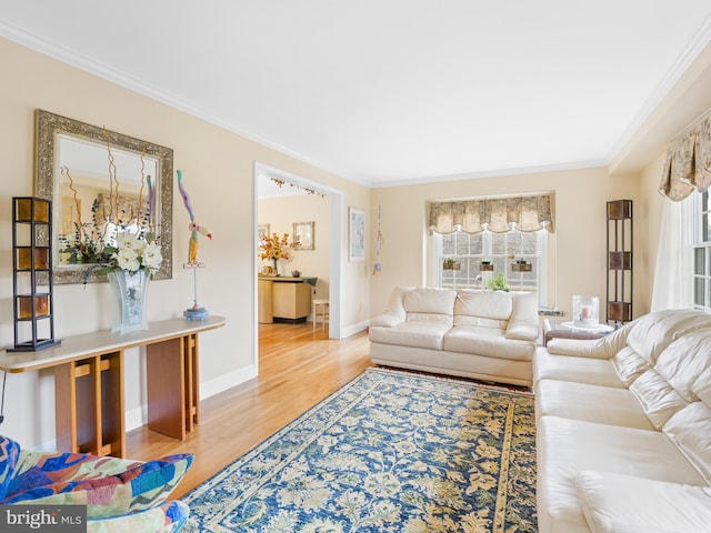 living room with ornamental molding and wood-type flooring