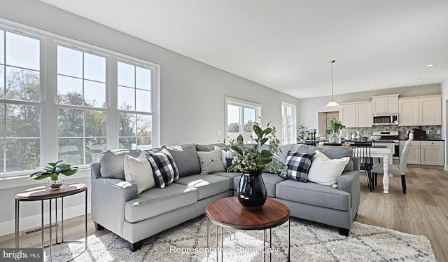 living room featuring light hardwood / wood-style flooring