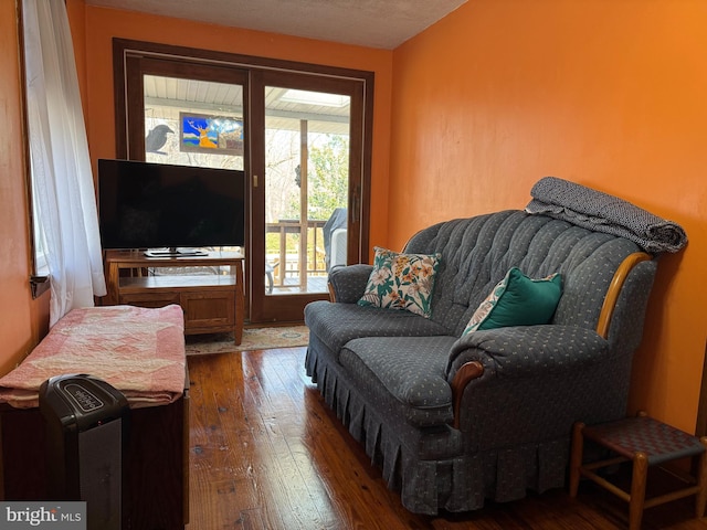 living room featuring dark wood-type flooring