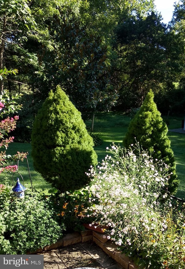 exterior space featuring a lawn