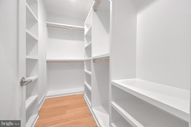 spacious closet featuring hardwood / wood-style flooring