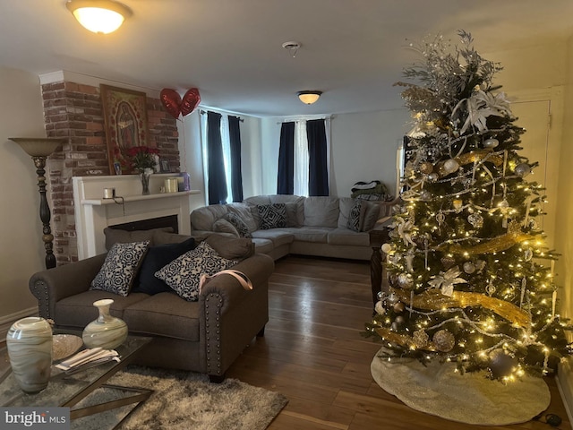 living room featuring dark hardwood / wood-style flooring