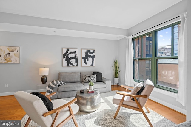 living room with hardwood / wood-style flooring