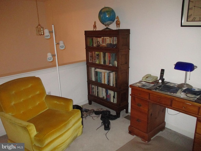 view of carpeted home office