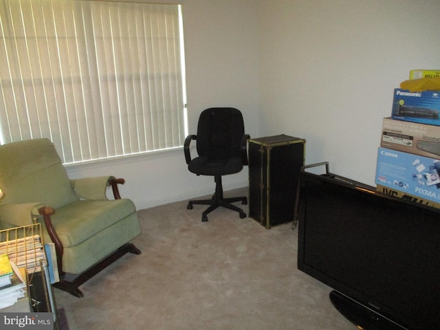 view of carpeted office space