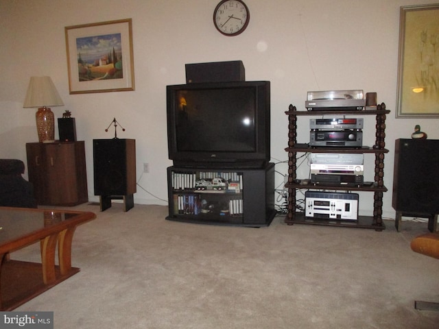 living room featuring carpet floors