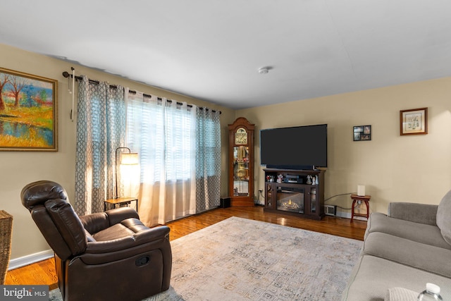 living room featuring wood-type flooring