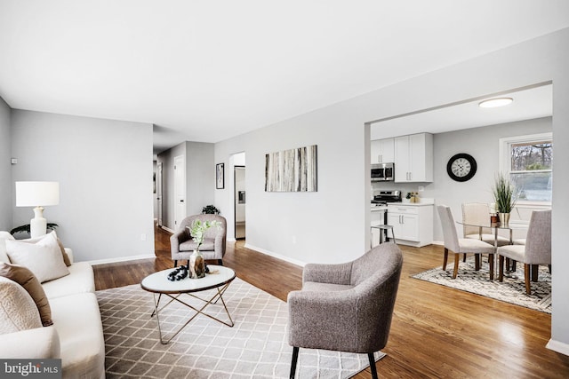 living room featuring hardwood / wood-style floors