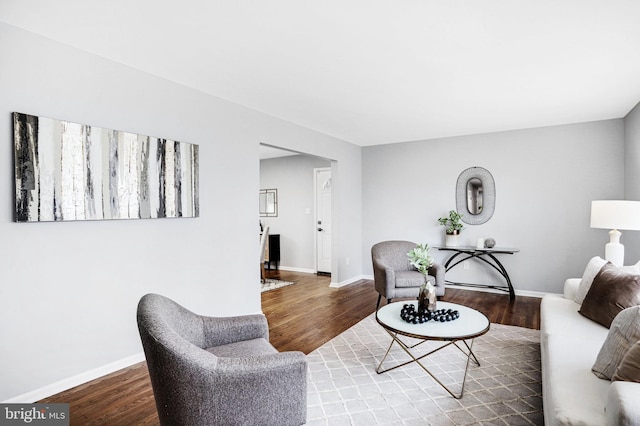 living room with hardwood / wood-style floors