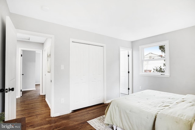 bedroom featuring dark hardwood / wood-style floors and a closet