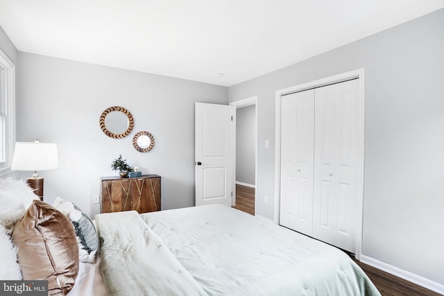 bedroom featuring dark hardwood / wood-style floors and a closet