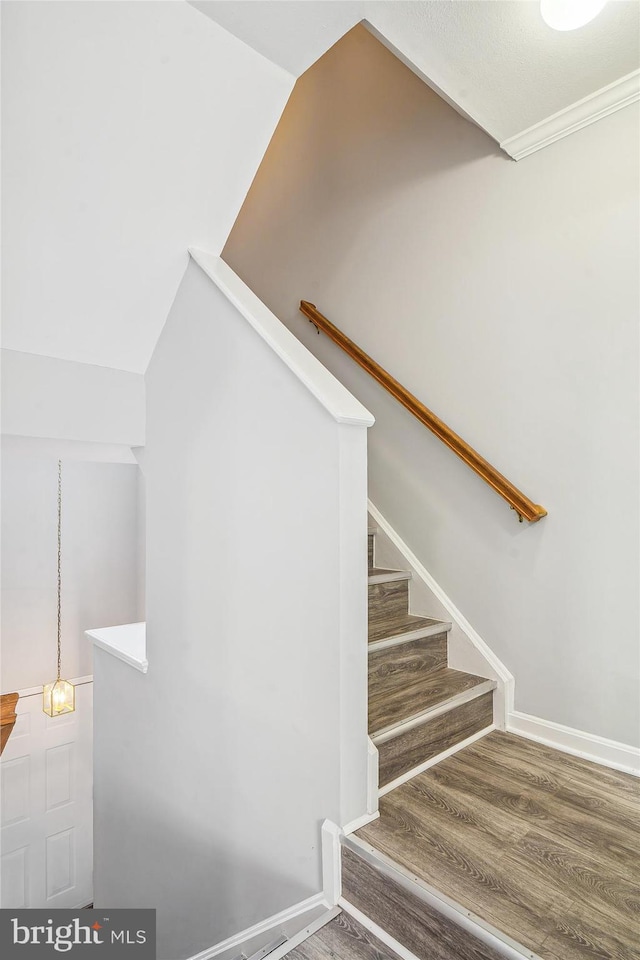 staircase with hardwood / wood-style floors