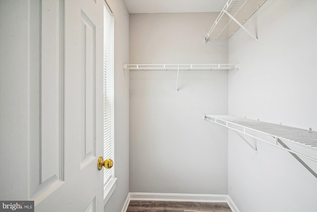 spacious closet featuring dark hardwood / wood-style flooring