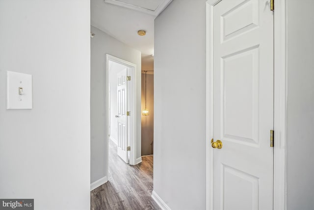 hall featuring wood-type flooring