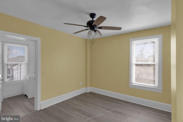 spare room with ceiling fan, a healthy amount of sunlight, and light wood-type flooring