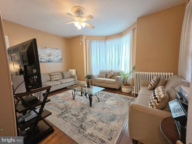 living room featuring wood-type flooring, radiator, and ceiling fan