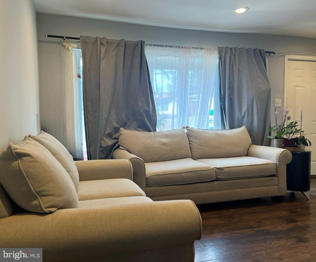 living room featuring dark hardwood / wood-style floors