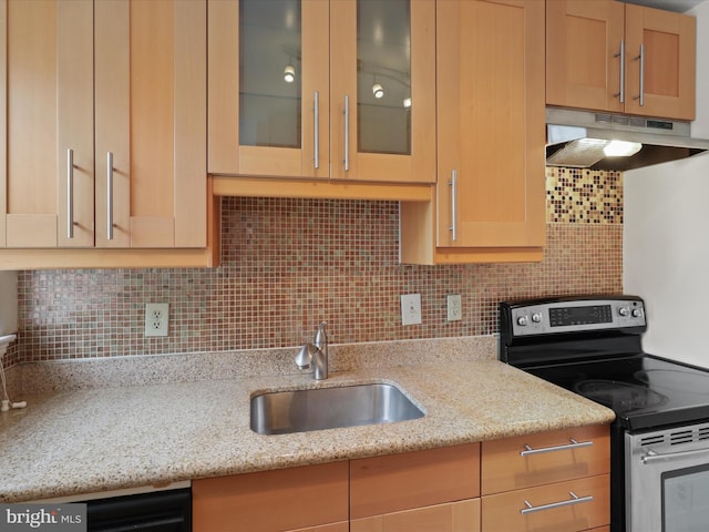 kitchen with light stone counters, stainless steel electric stove, sink, and backsplash