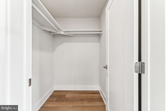 walk in closet with dark hardwood / wood-style flooring