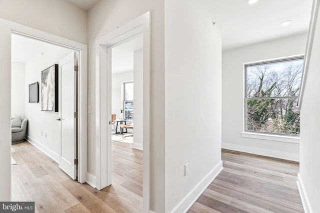 corridor with light wood-type flooring and a wealth of natural light