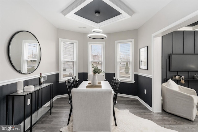 dining room featuring a raised ceiling and dark wood-type flooring