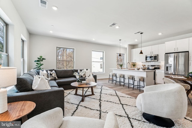 living room featuring sink and light hardwood / wood-style floors