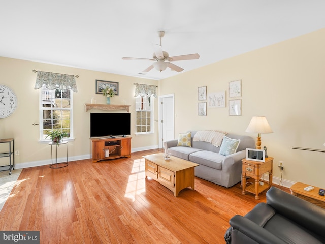 living room with ceiling fan and light wood-type flooring