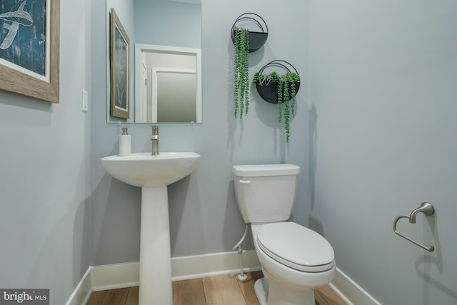 bathroom featuring sink, hardwood / wood-style flooring, and toilet