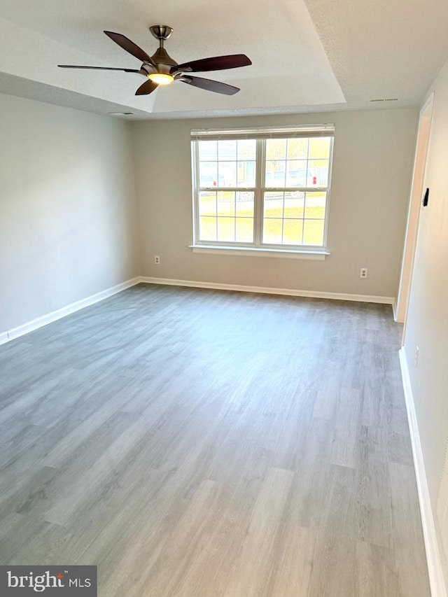 spare room featuring a raised ceiling and light wood-type flooring