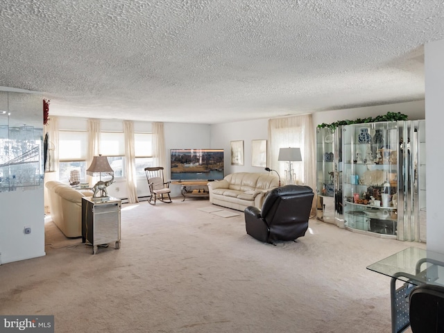 carpeted living room with a textured ceiling