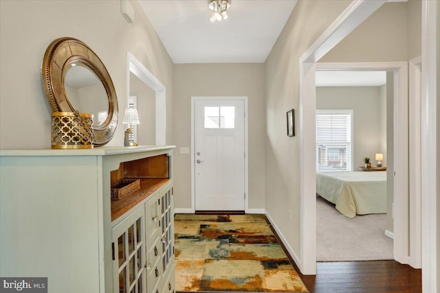 entrance foyer featuring dark hardwood / wood-style flooring