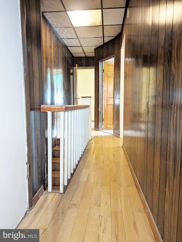 corridor featuring a drop ceiling, wooden walls, and light hardwood / wood-style flooring