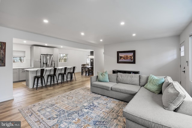 living room with light wood-type flooring