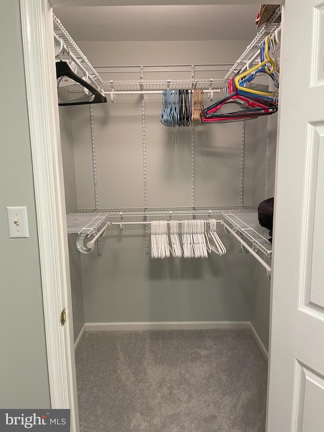 spacious closet with carpet